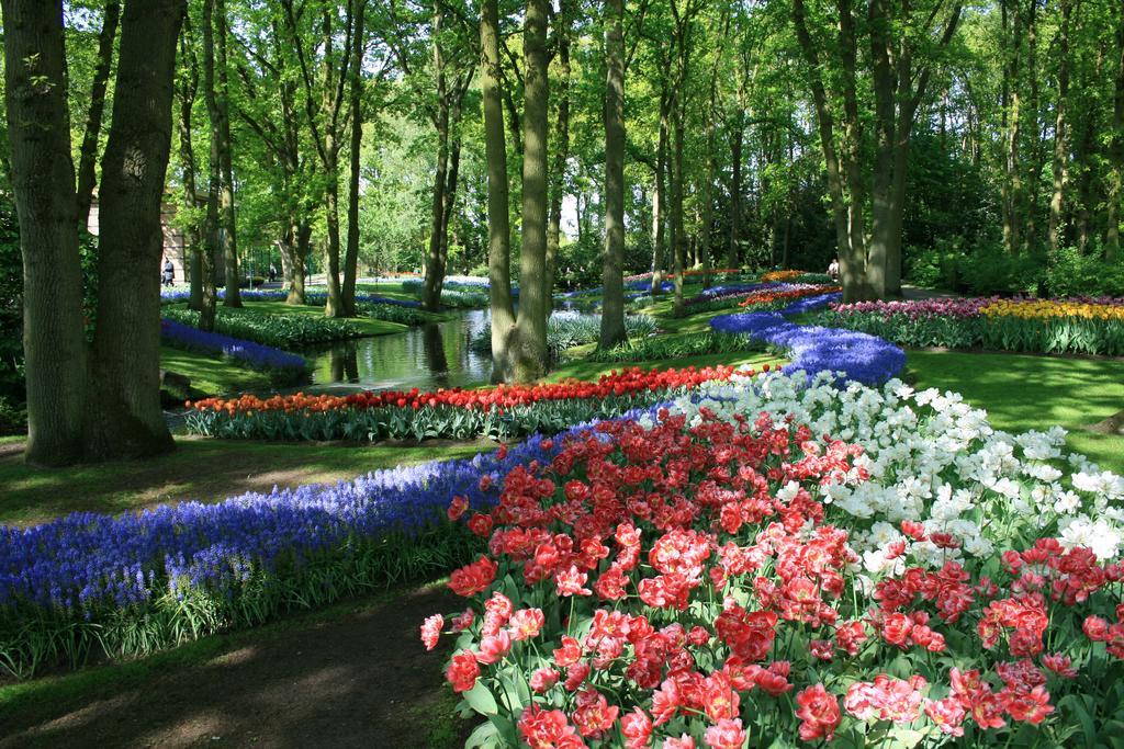 Short Group Park Serviced Amsterdam